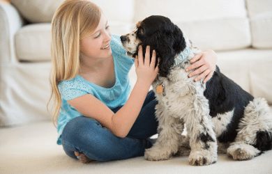 Removing Pet Hair from Carpeting: Methods that Do and Don't Work - Chelsea  Cleaning