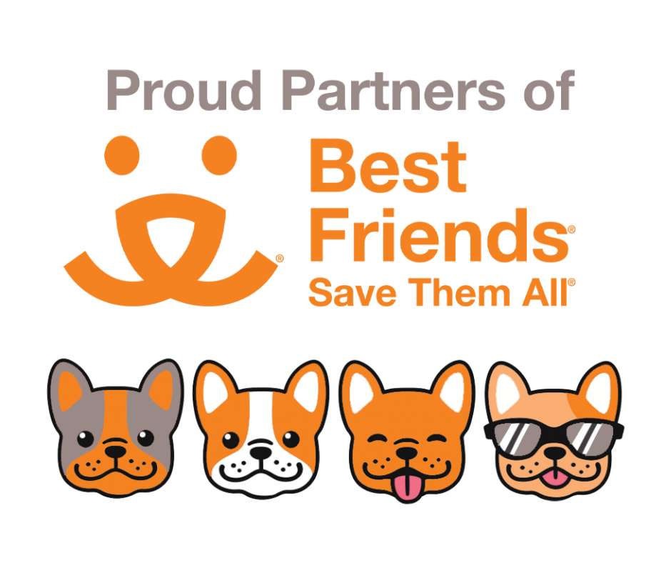 Best Friends Logo with illustrated dogs