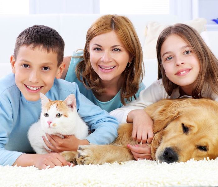 Family With Pets on Clean Carpet