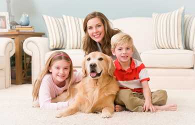 family sitting on carpet after carpet cleaning