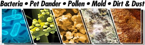bacteria, pet dander, pollen mold and dirt lurk in your air ducts