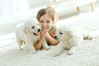 girl plays on carpet with puppies